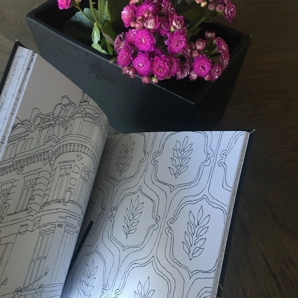 Paris Street Style coloring book for grownups